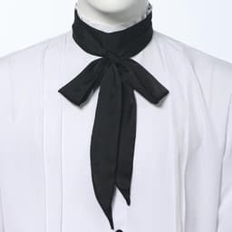 zijden skinny sjaal, multifunctionele lange stoffen stropdas, 200x5cm, Regency Cravat, Victoriaanse ascot, renaissance halsdoek, mode haaraccessoire, cosplay kostuum stropdas — thumbnail 4