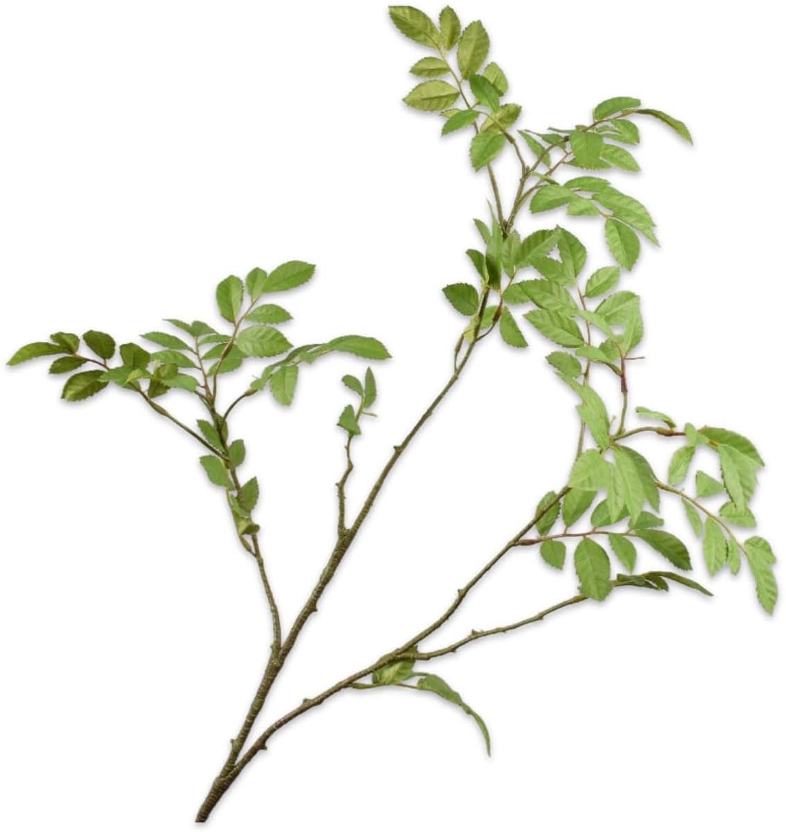 Zijden bloemblad tak, groen, 76 cm — afbeelding 1