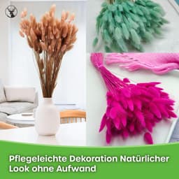 Dekogras gedroogd gras, siergras, konijnenstaarten, Lagurus Ovatus, fluwelen gras, hazenstaartgras, gedroogde bloemen, natuurlijk, boho, 120-150 stuks, 100 g, oranje — thumbnail 5
