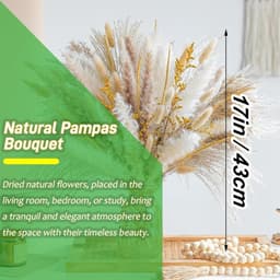Gedroogde pampa, natuurlijk, decoratie, doe-het-zelfset, gedroogde bloemen, rietboeket voor boho-bloemen, bruiloft en tafeldecoratie thuis, rustiek feest — thumbnail 5