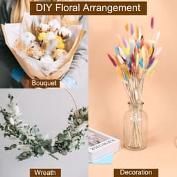 50 stuks Code, natuurlijk gedroogd pampasgras, konijnstaart, gedroogde bloemen, 45,7 cm, mini pampasgras, lagurus, ovatus bunch voor bloemendecoratie voor thuis, zwart — thumbnail 3