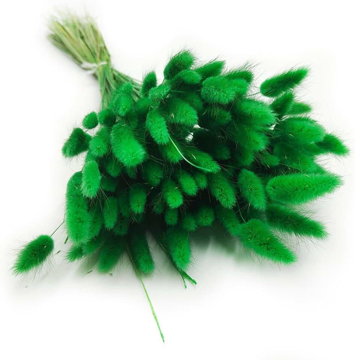 Dekogras gedroogd gras, siergras, konijnenstaarten, Lagurus Ovatus, fluwelen gras, hazenstaartgras, gedroogde bloemen, natuurlijk, boho, 120-150 stuks, 100 g, groen — afbeelding 1