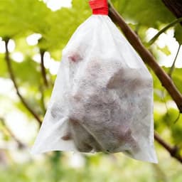 Fruitzakken voor bomen - Vlies beschermzakken - Oogst beschermen - Geïntegreerd trekkoord - 100 stuks - Wit — thumbnail 4