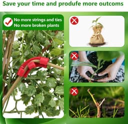 Dailygoods- Groeiklemmen - 100 Stuks - Instelbare Planksteun - Ondersteuning Plantenschors - Verbeterde Luchtcirculatie - Herbruikbaar - Duurzaam - Plantsteun — thumbnail 4