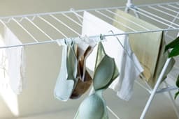 Drying Rack Accessory No Clothespins Needed Organizer for Bra Socks & Underwear Click-On Laundry Supplies Set of 2 Holders White — thumbnail 3