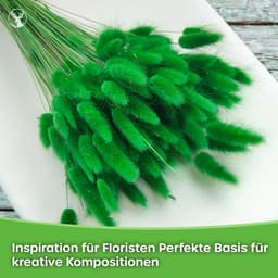 Dekogras gedroogd gras, siergras, konijnenstaarten, Lagurus Ovatus, fluwelen gras, hazenstaartgras, gedroogde bloemen, natuurlijk, boho, 120-150 stuks, 100 g, oranje — thumbnail 4
