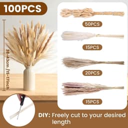 Gedroogd Pampasgras, 100 stuks Pampasdecoratie — thumbnail 5