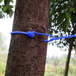 Reis Waslijn - Kledinglijn Klemmen - Kleding Drogen - Elastisch Verstelbaar - 3 Meter - Blauw — thumbnail 2