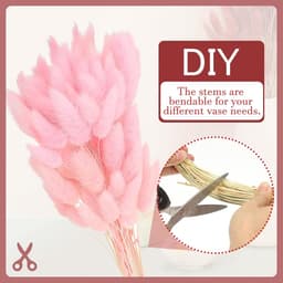Gedroogde bloemen 40 cm, 150 stuks natuurlijke konijnenstaart, wollig, gedroogd, voor boho-decoraties voor thuis, vazen, bruiloften, roze — thumbnail 4