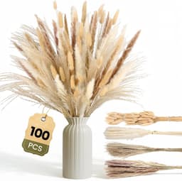 Gedroogd Pampasgras, 100 stuks Pampasdecoratie — thumbnail 1
