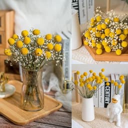 Gedroogde bloemen, 36 stuks, Craspedia Globes Decor, gedroogde bloemen, geel, natuurlijke droge plant voor doe-het-zelf bloemstukken, bruiloft, thuis, hoge vaas — thumbnail 2
