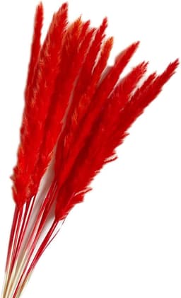 Gedroogde Bloemen, Pampas Gras DIY Handgemaakte Valentijnsdag Bruiloft Woondecoratie Boeket Pampas Grass (Color : Red) — thumbnail 1