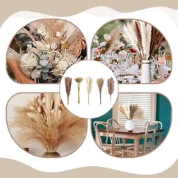 120 stuks decoratie van gedroogd pampasgras, gedroogd pampasgras — thumbnail 3