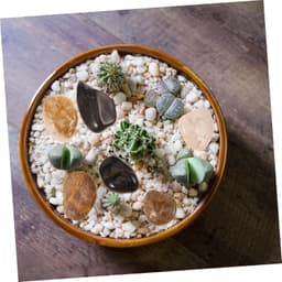 1set Natuurlijke Gepolijste Kiezels Voor Planten Aquaria Decoratieve Steentjes Voor Bloempotten Tuinen Waterpartijen — thumbnail 4