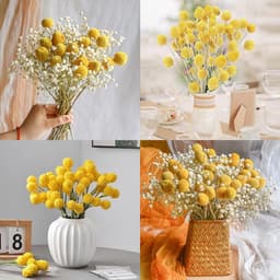 Gedroogde bloemen, 36 stuks, Craspedia Globes Decor, gedroogde bloemen, geel, natuurlijke droge plant voor doe-het-zelf bloemstukken, bruiloft, thuis, hoge vaas — thumbnail 3
