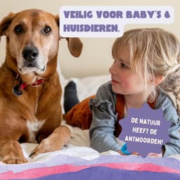 YOKUU Probiotische Wasstrips - 64 Wasbeurten - Lavendel Geur - Reis Wasmiddel - Ultra Geconcentreerd en Voorgedoseerd - Ecologisch Wasproduct — thumbnail 3