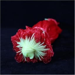 Fruit Bescherming Netjes - Herbruikbare Netzakken - Groenten Fruit Opslag - Sterk Nylon Mesh Materiaal - 45 cm - Rood — thumbnail 3