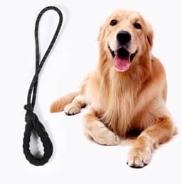 Aanlegblok met riem voor honden - Set van aanlegpalen voor camping en strand - Grondanker voor grote honden - Gazon accessoires met grondankers — thumbnail 5