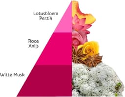 Horomia Huisparfum Muschi e Loto 500 ml - Roomspray - Interieurspray - Kamergeur — thumbnail 2