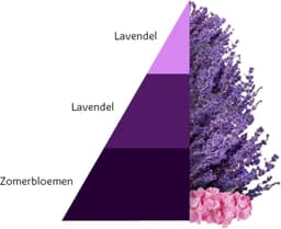 HOROMIA Aromatic Lavender 250ml — thumbnail 2