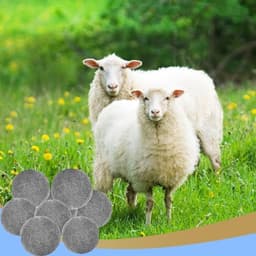 Vilten drogerballen - herbruikbaar - wit - Allecto — thumbnail 2