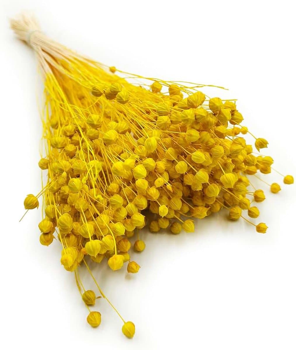 Dekogras Gedroogd Gras Vlas Siergras Linnen Droogbloemen Natuurlijk Boho 80 Stuks Geel — afbeelding 1