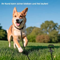 Grondanker voor honden tot 100 kg - Extra stabiel spiraalanker zonder scherpe randen — thumbnail 3