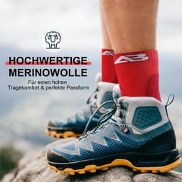 Alpen Bears Merino Wandelsokken – 2 Paar – Professionele Trekkingsokken voor Wandelen – Outdoor Sokken voor Dames, Heren & Kinderen – Warme Merino Wandelsokken – Functionele Sokken – Trekking Sportsokken (Rood, 43-48) — thumbnail 5