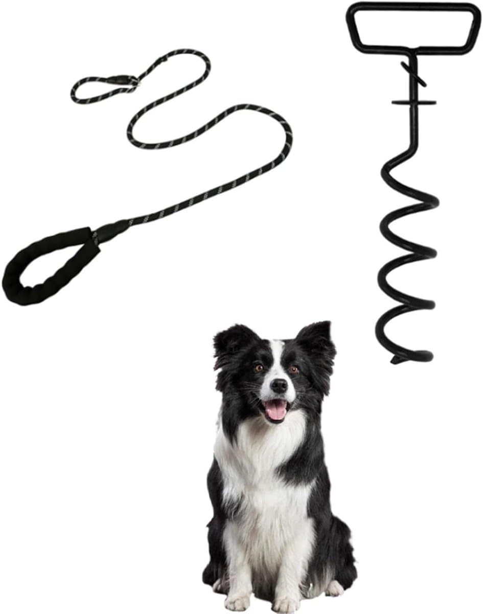 Aanlegblok met riem voor honden - Set van aanlegpalen voor camping en strand - Grondanker voor grote honden - Gazon accessoires met grondankers — afbeelding 1