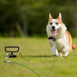 Aanlegblok met riem voor honden - Set van aanlegpalen voor camping en strand - Grondanker voor grote honden - Gazon accessoires met grondankers — thumbnail 2