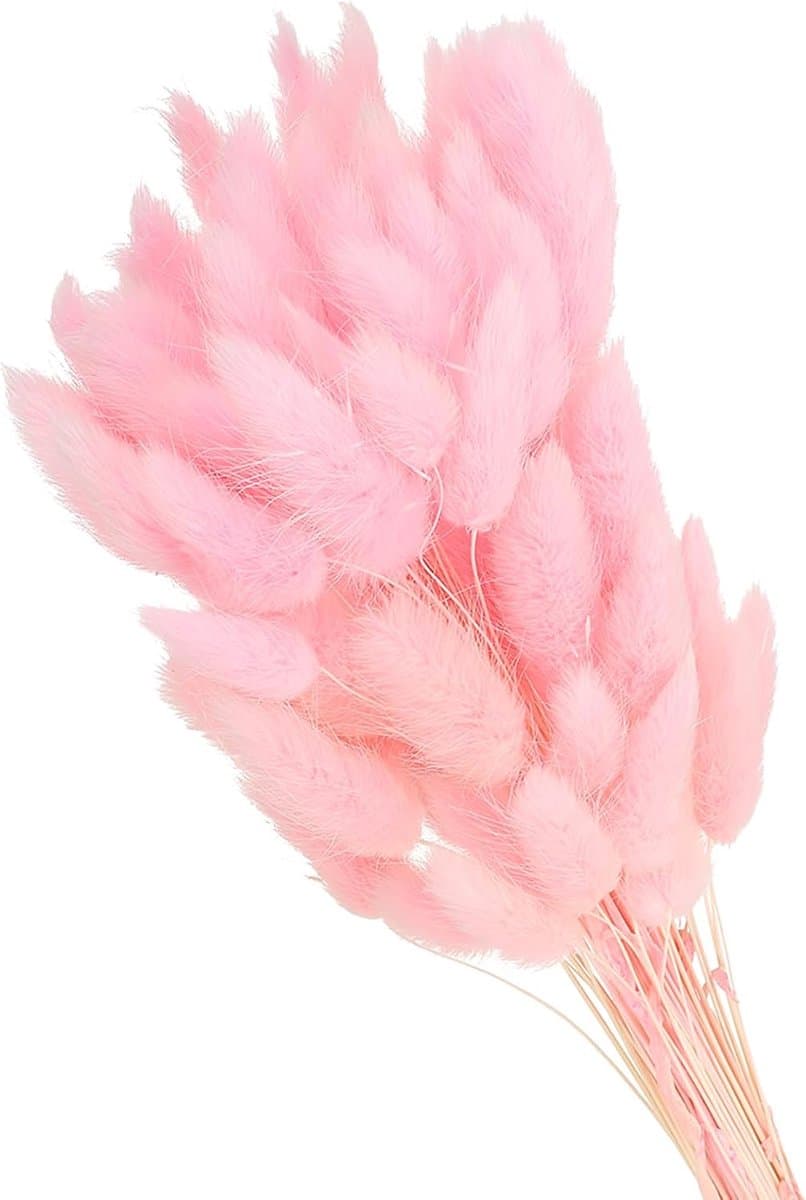 Gedroogde bloemen, 70 stuks natuurlijke zachte kunstmatige gedroogde konijnenstaart voor huisdecoratie, boho vaas, bruiloft, roze — afbeelding 1