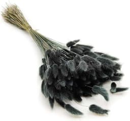Dekogras Gedroogd Gras Siergras Haasenstaart Lagurus Ovatus Samtgras Haasenstaartgras Droogbloemen Natuurlijk Boho 120 - 150 stuks 100 g Zwart — thumbnail 1