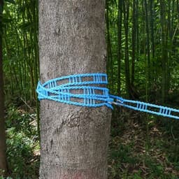 Waslijn - 5m/16.4ft Outdoor Winddicht Draagbaar Luchter Antislip Touw met Elastisch Ontwerp voor Kleding Drogen - Ideaal voor Outdoor Camping en Reizen — thumbnail 4