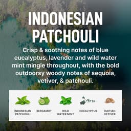 Drogerlakens Indonesische Patchouli - Luxe Geur, Anti-Statisch & Stofverzachter (69 Stuks) — thumbnail 3