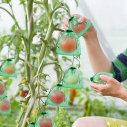 100 Stuks Fruitbeschermzakjes met Trekkoord voor Fruitbomen en Tuin — thumbnail 5