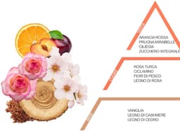 Wasparfum Aurora 500ml – Ventilii Milano® — thumbnail 2
