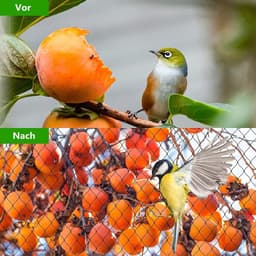 Vogelbeschermingsnet - Tuinnet fruitboomnet - Vogelafweernet zwembadnet - Met kabelbinders grondankers - Scheurvast rekbaar robuust - 8x8 m — thumbnail 2