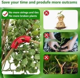 Dailygoods- Groeiklemmen - 100 Stuks - Instelbare Planksteun - Ondersteuning Plantenschors - Verbeterde Luchtcirculatie - Herbruikbaar - Duurzaam - Plantsteun — thumbnail 5