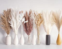 128 stuks gedroogd pampasgrasboeket, boho-tafeldecoratie, konijnenstaarten gedroogde bloemen, bruin pampas, wit pampasgras voor bruiloften, thuisdecoratie, rustieke feesten en babyshowerdecoraties — thumbnail 1
