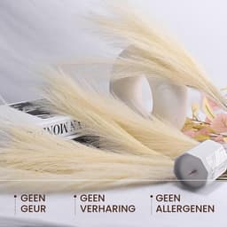 30 Stukken Gedroogd Pampire Gras, Gele Naturalnh - Fluffy Kunstbloemen en Decoratie voor Boho Bruiloft en Woondecoratie — thumbnail 2