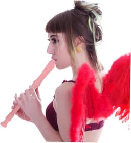 1set Sopraanblokfluit Met Schoonmaakstokken Voor Beginners Jonge Muzikanten Stijlvolle Fluit Voor Perfecte Geluid Toon — thumbnail 5