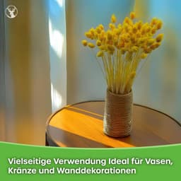 Dekogras Gedroogd Gras Siergras Kanariegras Phalaris Droogbloemen Natuurlijk Boho Ca. 100 Stuks 80 g Geel — thumbnail 2