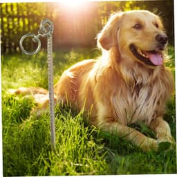 Grondnagel Honden - Hondenpaal Grondanker - Hond Beveiligen - Stevig Verzinken - 50 cm - Goud — thumbnail 4