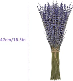 gedroogd bundel 100 stengels 42 cm lang lavendelbloemen uit de Provence lavendelbundel droogbloemen boeket — thumbnail 5