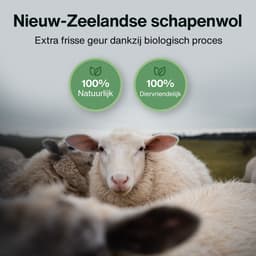 2BEHOME XL Drogerballen Voor Wasdrogers - 6 Stuks - Gemaakt van 100% Nieuw-Zeelandse Schapen Wol - Wasdrogerballen - Droogballen - Droger Ballen - Dryer Balls - Wit — thumbnail 3