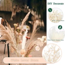 Gedroogd Pampasgras - Natuurlijke Gedroogde Bloemen, Zwart en Wit Pampasgras Pluizige Bladeren, Gedroogd Bloemenboeket Voor Knutselen, voor Bruiloftstafel Woonkamer Vazen Boho Home Decor — thumbnail 4