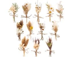 Gedroogde Bloemen Stijl Mini Decoratieve Takjes voor DIY Ambachten, Bruiloft en Huisdecoratie (Natuurlijk)