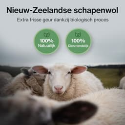 XL Drogerballen van 100% Nieuw-Zeelandse Schapenwol — thumbnail 3