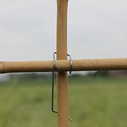 Bamboeknijpers voor Rankrekken - 50 Stuks voor het Bamboerooster — thumbnail 2