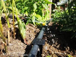 100 stuks AquaPin tuinslanganker grondspijker montageanker - druppelslang parelslang plugvork — thumbnail 3